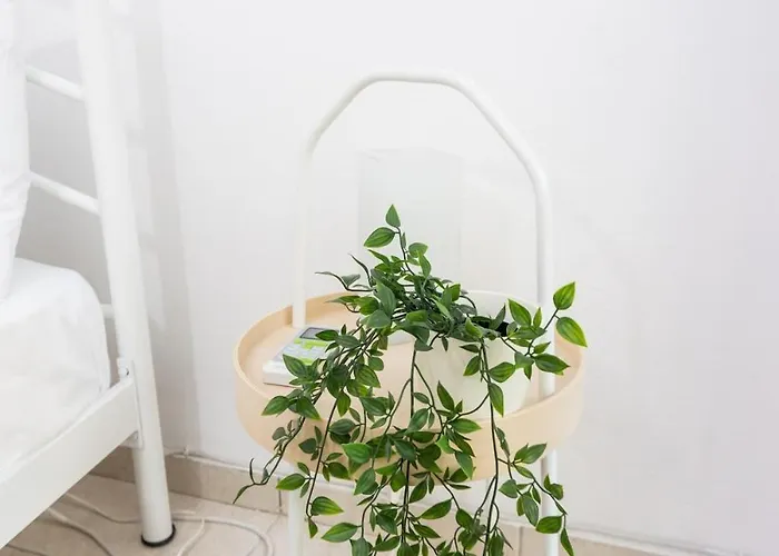 Dimitra's Cosy In Old Town With Backyard *