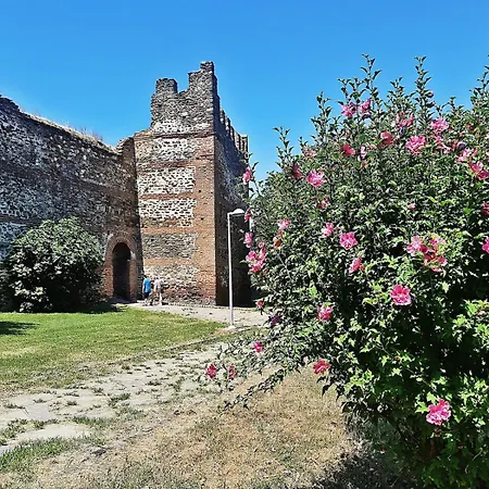 아파트 Dimitra's Cosy In Old Town With Backyard 테살로니키