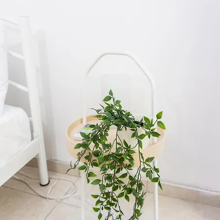 Dimitra's Cosy In Old Town With Backyard *